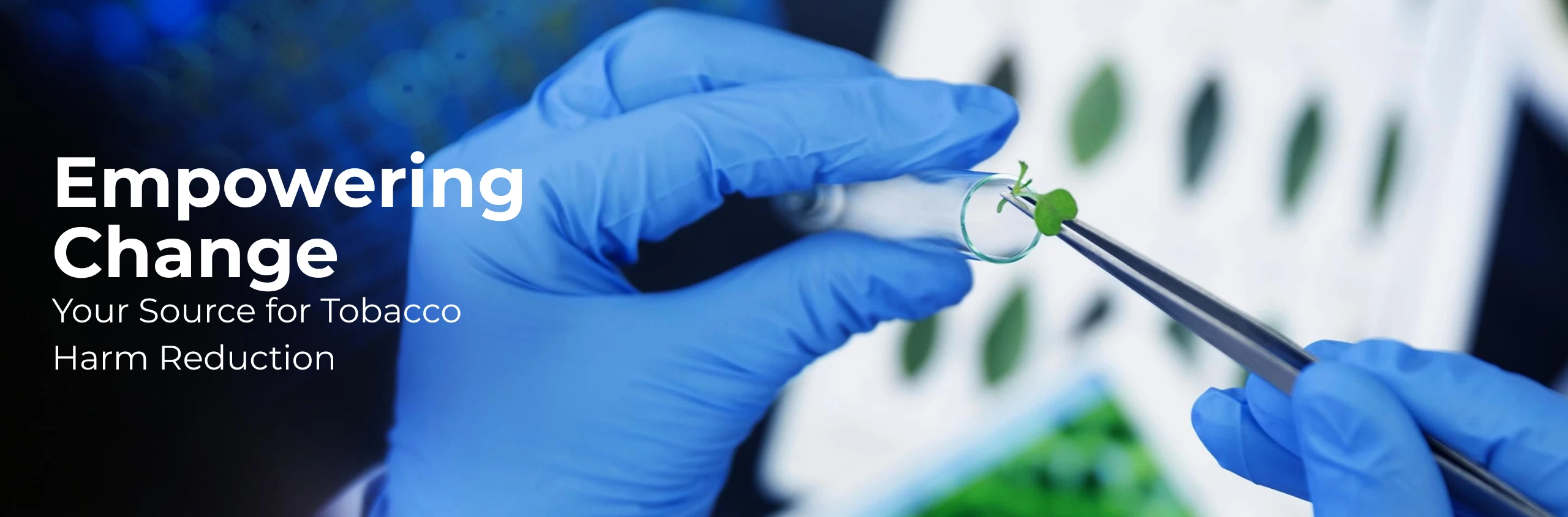BAT scientist, lab and community imagery blended into a future-facing design